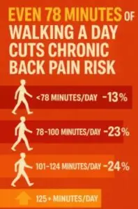 Bar chart showing how even 78 minutes of daily walking reduces chronic low back pain risk, based on JAMA Network Open 2025 study.
